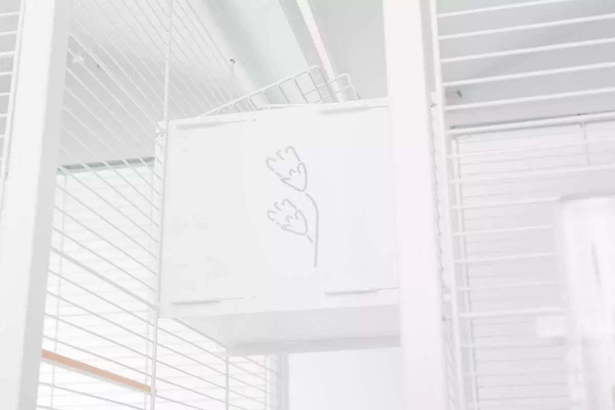 ZOLUX Tunel łączący do wolier dla ptaków CHIC biały 