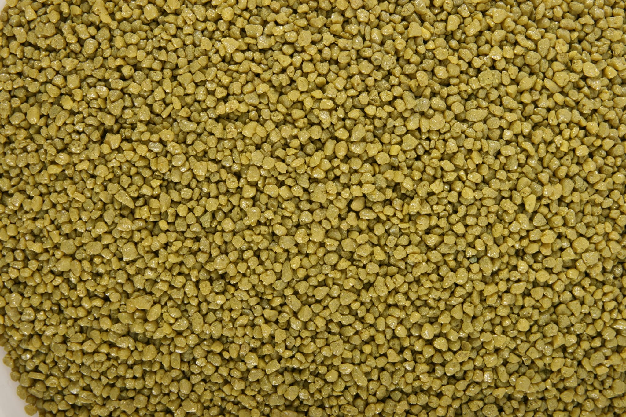 Zolux Żwirek do akwarium Aquasand Color soczysta zieleń 1 kg 