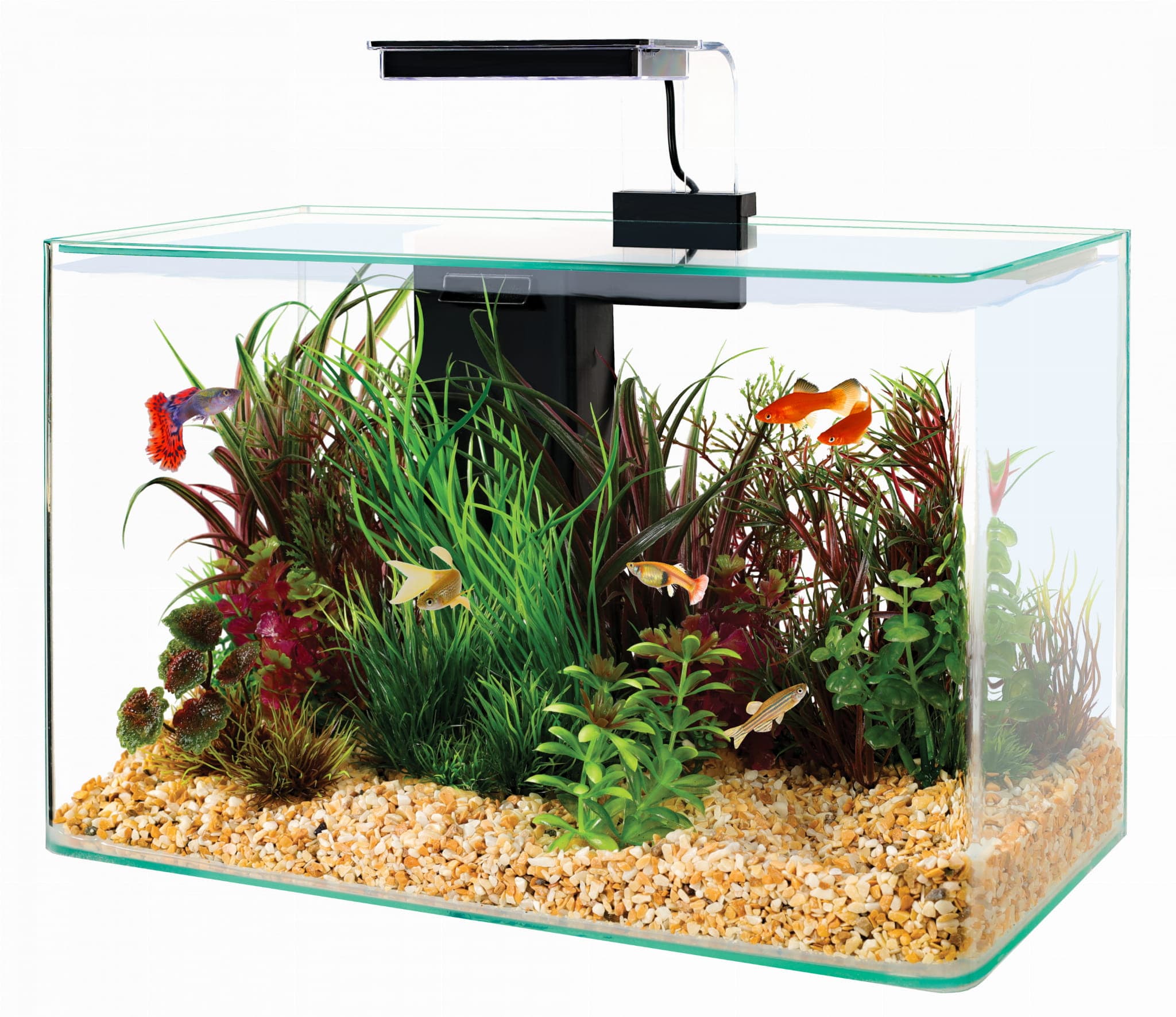 ZOLUX Zestaw akwarium i oświetlenie LED AQUA CLEAR 400x200x250 mm czarny 