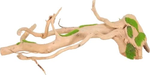 Zolux Ozdoba do akwarium korzeń KIPOUSS S z nasionami 