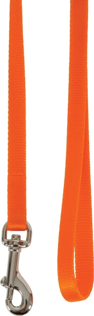 Zolux Smycz dla kota nylonowa 1 m/10 mm kol. pomarańczowy 
