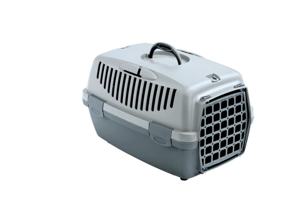 Zolux Transporter dla psa, kota GULLIVER 1 plastikowe drzwi kol. miętowy 