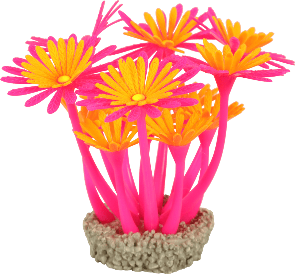 ZOLUX Ozdoba do akwarium FLOWERS 3 różowo pomarańczowa fluorescencyjna 